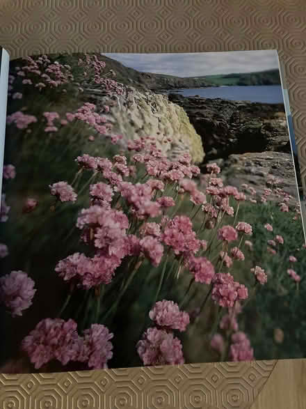 Photo of free National Trust Countryside book (Bearwood BH11) #2