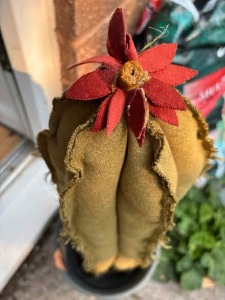 Photo of free Hand made cactus (BA5) #2