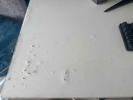 Photo of free Desktop (Grattan Lodge, Dublin 13) #2