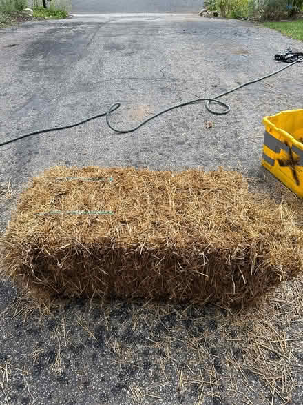 Photo of free bale of straw (Severna Park) #1
