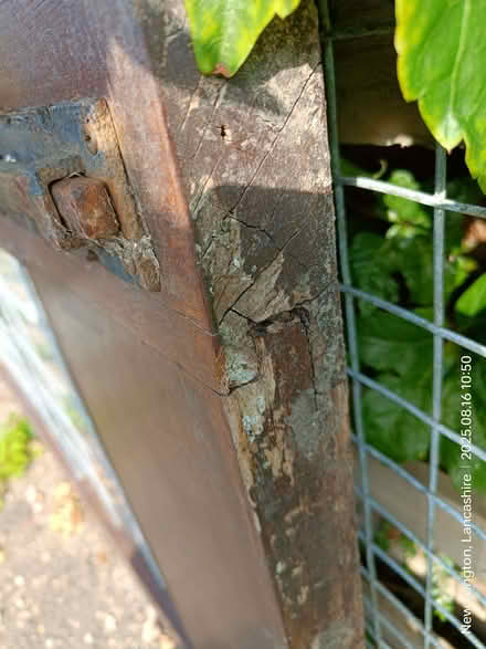 Photo of free Hardwood double glazed doors (New Longton PR4) #2