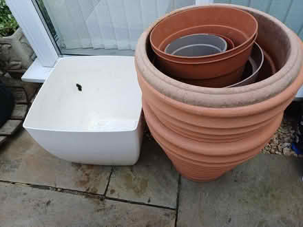 Photo of free Plant pots (Freshbrook SN5) #3