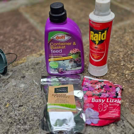 Photo of free Plant stuff (Clive Vale TN35) #1