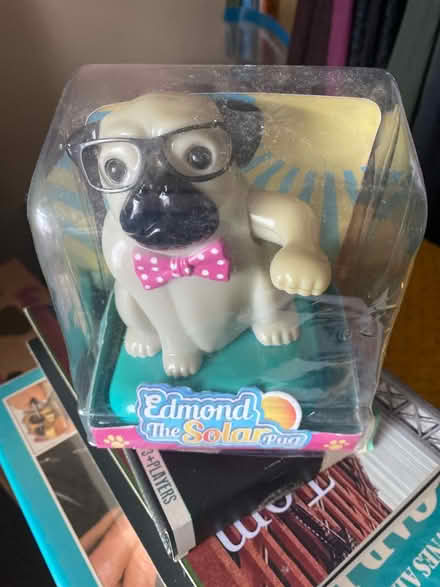 Photo of free Waving pug (Beaumont LA1) #1