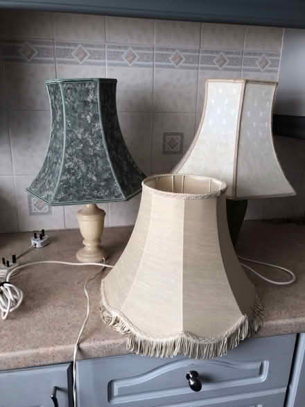 Photo of free Lamps and lampshades (Burscough L40) #2