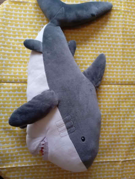 Photo of free Big Soft Shark Toy (Slade Green DA8) #1