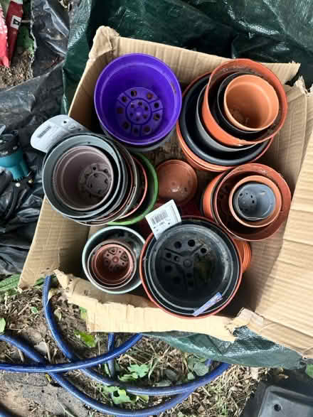 Photo of free Plant pots (Heston) #2