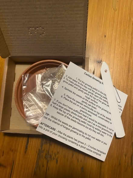 Photo of free Grow your own cactus 🌵 (Croydon) #2