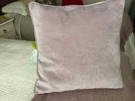 Photo of free Next Cushions x 2 (Old Windsor SL4) #1