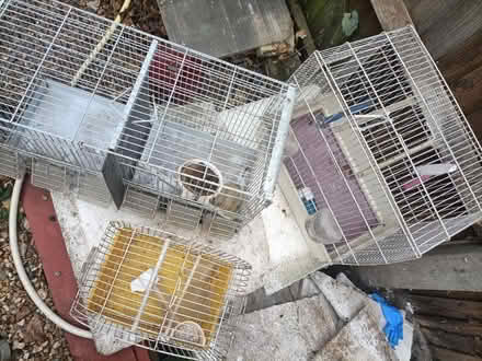 Photo of free Bird cage (Teddington) #2