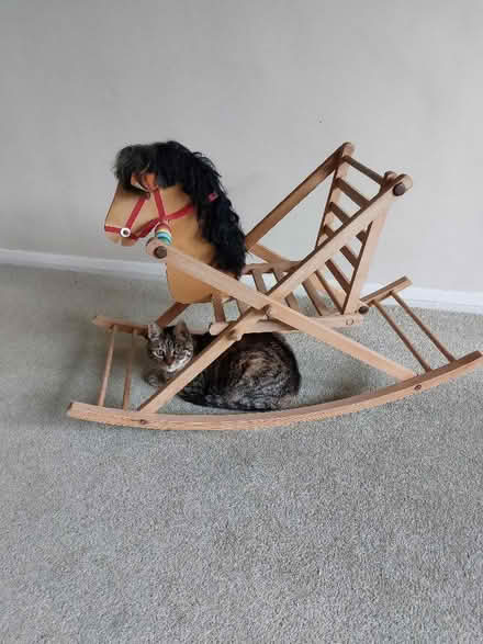 Photo of free Rocking Horse (North Tonbridge TN10) #1