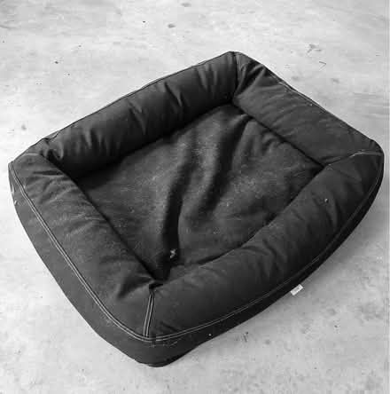 Photo of free Kong Large Dog Bed (Windsor) #1