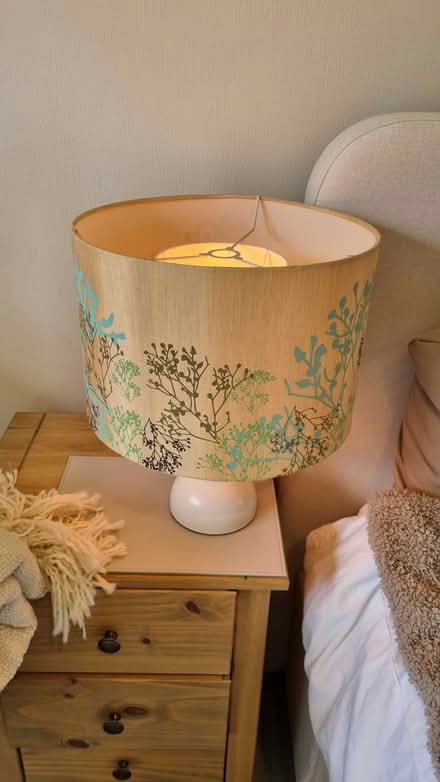 Photo of free Ceiling light shades (Dunkeswell nr Honiton) #2