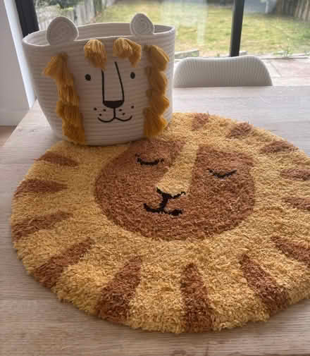Photo of free Lion basket and rug (Ecclesall S11) #1