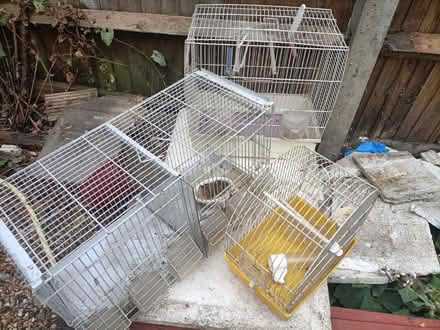 Photo of free Bird cage (Teddington) #1