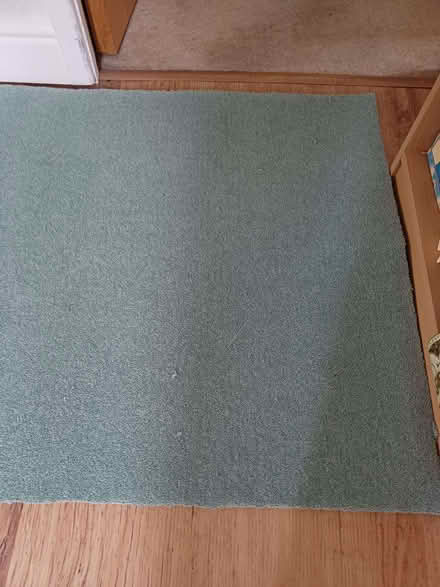 Photo of free Roll of new carpet (Owlthorpe S20) #3