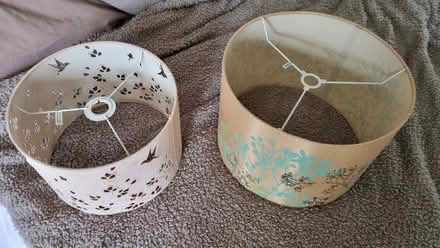 Photo of free Ceiling light shades (Dunkeswell nr Honiton) #1