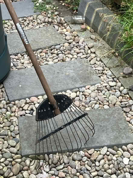 Photo of free Leaf rake (Twickenham Green) #2