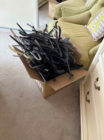 Photo of free Coat hangers (BR1 Bromley) #1