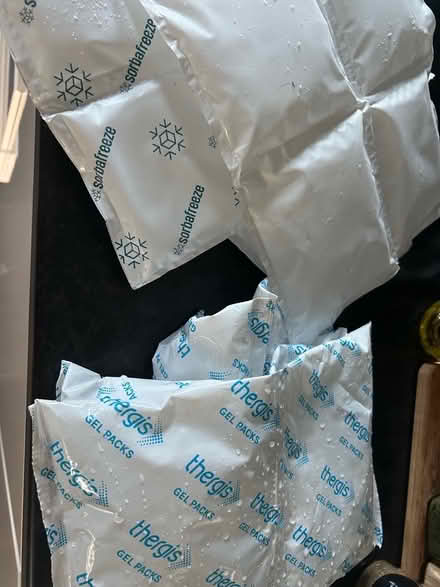 Photo of free Freezer cold packs (Frodsham WA6) #1