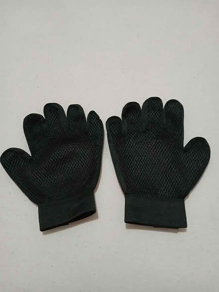 Photo of free Pet brushing gloves (Near Dollis Hill Station) #1