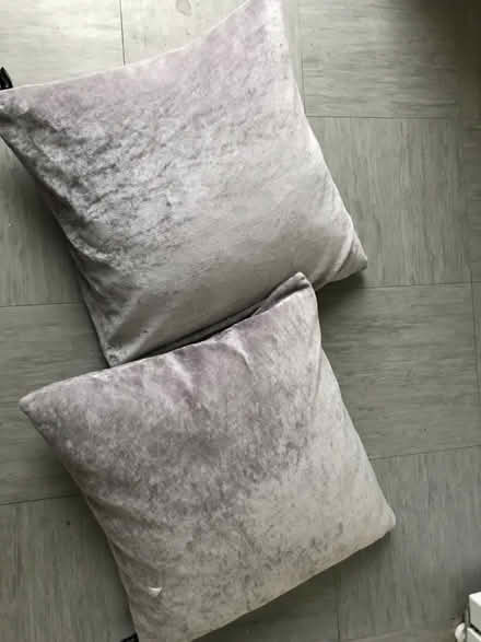 Photo of free Cushions (Bedford (putnoe)) #1