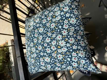 Photo of free Pillows (Eckington) #1