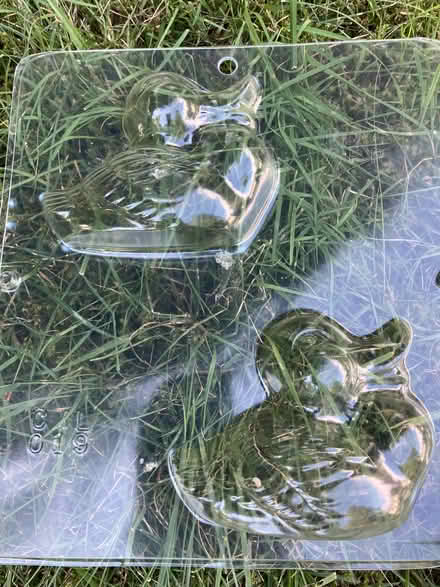 Photo of free Soap making kit (Vashon - North End) #3