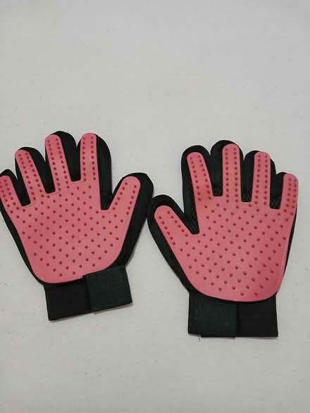 Photo of free Pet brushing gloves (Near Dollis Hill Station) #2