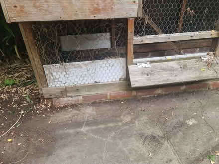 Photo of free Hen House (TN23) #3