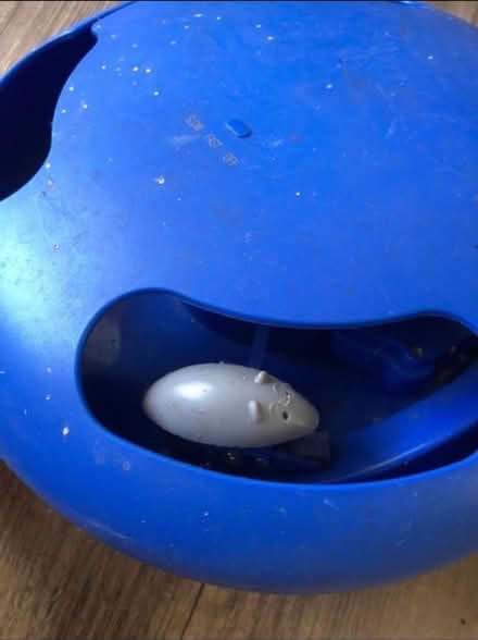 Photo of free Cat Toy (Cheshunt En8) #2