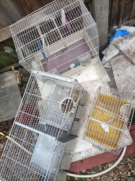 Photo of free Bird cage (Teddington) #2