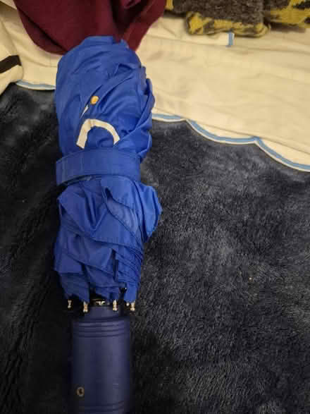 Photo of free Mini umbrella (Phinney Ridge) #3