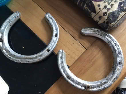Photo of free Horse shoes (Clapham, Bedford) #1