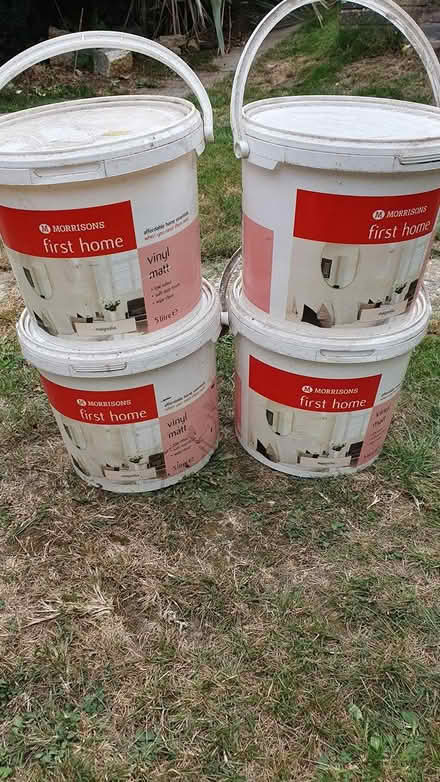 Photo of free Unopened paint x 4 (Chichester Lavant PO18) #2