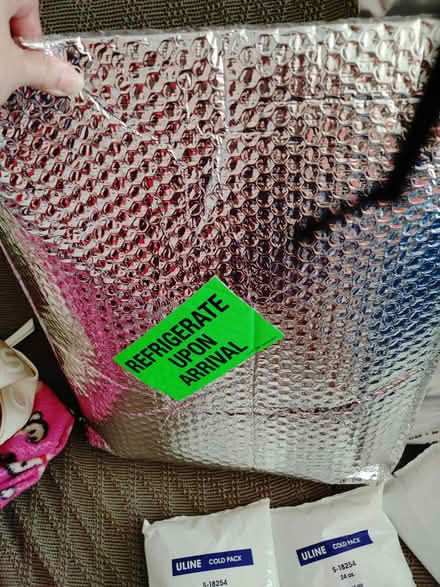 Photo of free Freezer packs from Uline + 3 bags (Warren Woods 12 Hoover) #1