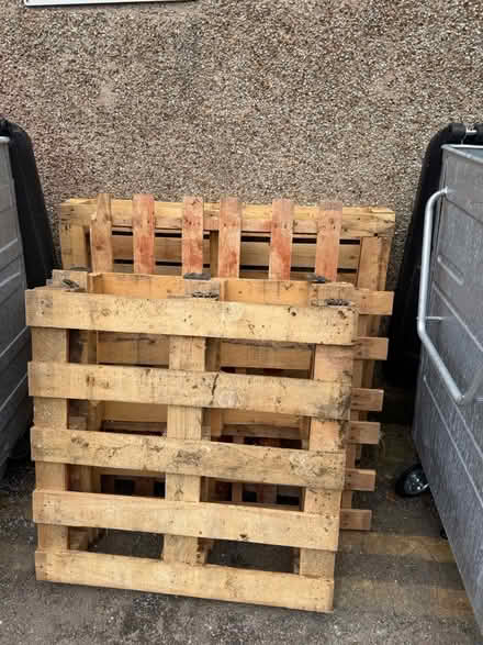 Photo of free 4 pallets really strong (ha28qz) #1