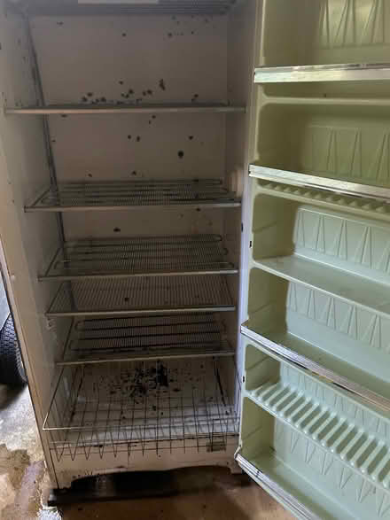 Photo of free Working upright commercial freezer (Midlothian 23113) #2