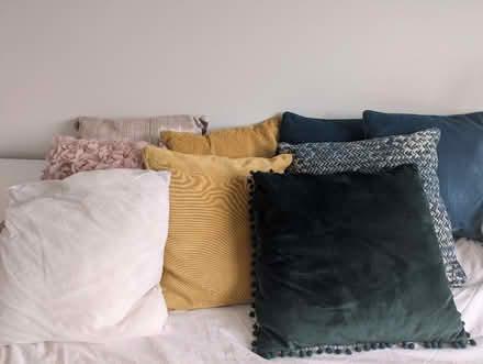 Photo of free 9 cushions (Feering) #4