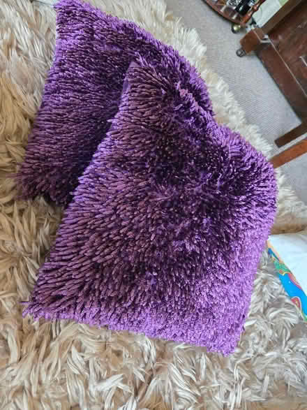 Photo of free 2 purple tufty cushions (BS5) #1