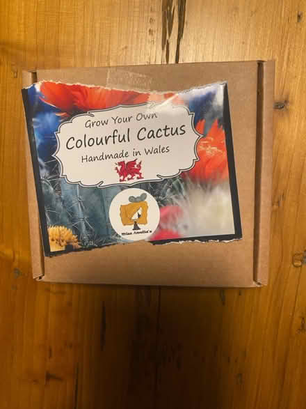 Photo of free Grow your own cactus 🌵 (Croydon) #1