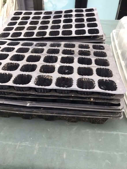 Photo of free Quanity of propagation trays (Spalding PE11) #2