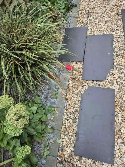 Photo of free Roofing tiles unused (Holmer Green HP15) #2