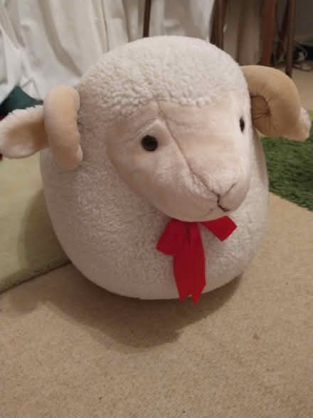 Photo of free Cuddly Sheep (Footrest?) (Lakenham NR1) #2