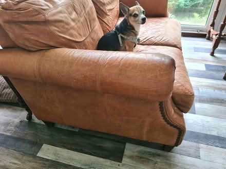 Photo of free Small sofa (St Leonards. TN39) #3