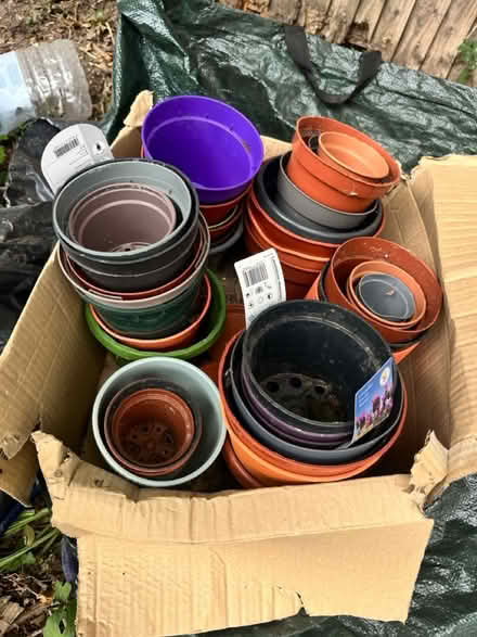 Photo of free Plant pots (Heston) #3