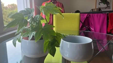 Photo of free Set of 2 blue light ikea vases (Brockley SE4) #1