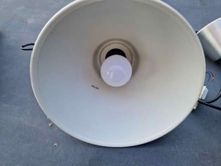 Photo of free Pendant lights (St Leonards TN38) #4