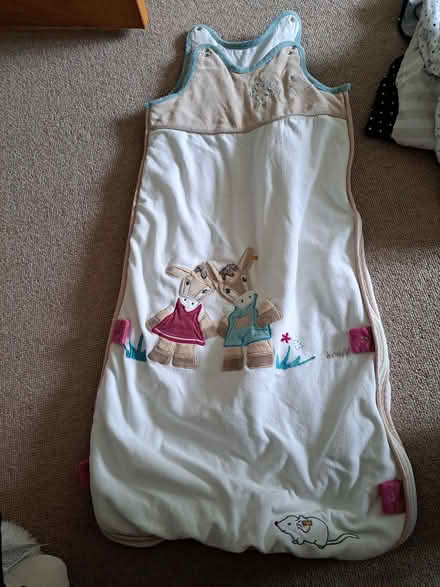 Photo of free 4 baby sleeping bags. Various sizes (Coulsdon CR5) #3