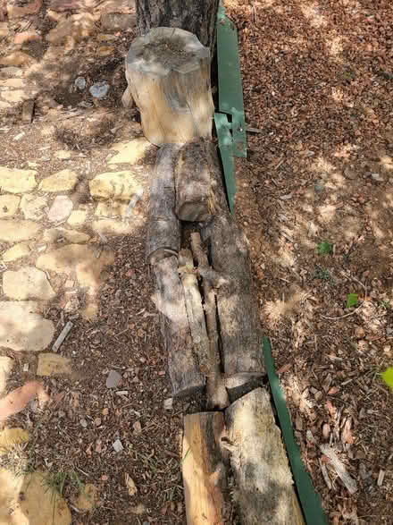 Photo of free Fire wood (Gov Miles & Camino Carlos Rey) #1